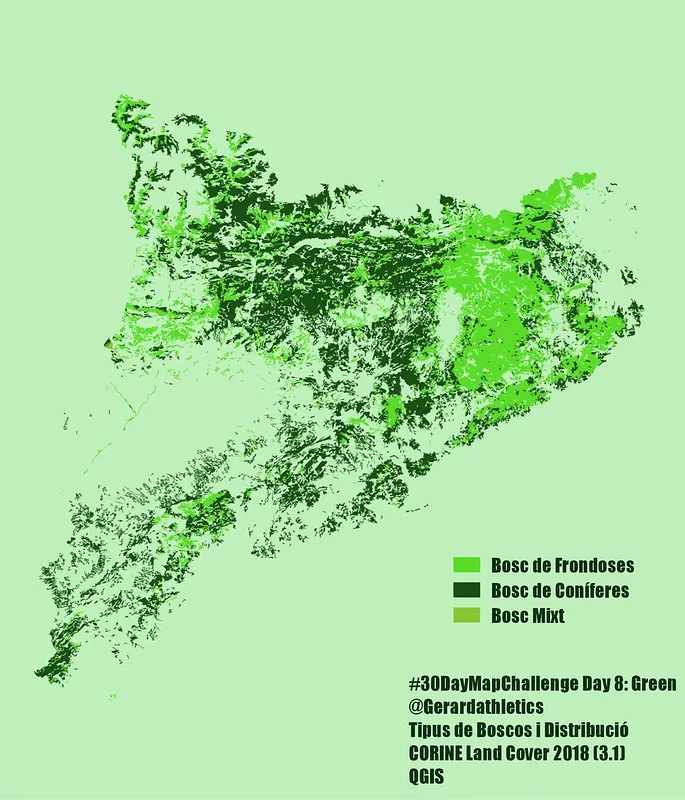 Bosques en Cataluña